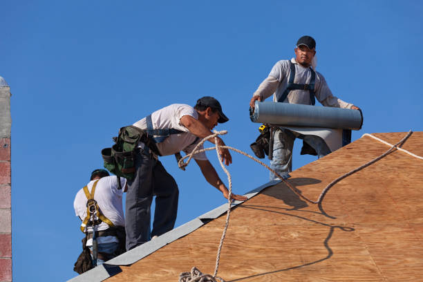 Best Metal Roofing Contractor  in Winston Salem, NC